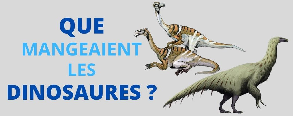 Que mangeaient les dinosaures ?