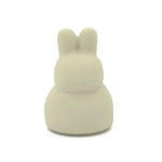 Tirelire Animaux en Silicone