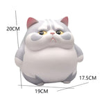 Tirelire Chat Grumpy Cat taille